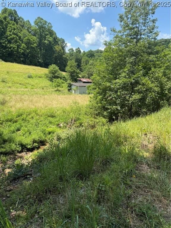 961 Road Run, Elizabeth, WV 26143 - photo 9