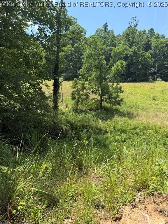 961 Road Run, Elizabeth, WV 26143 - photo 10