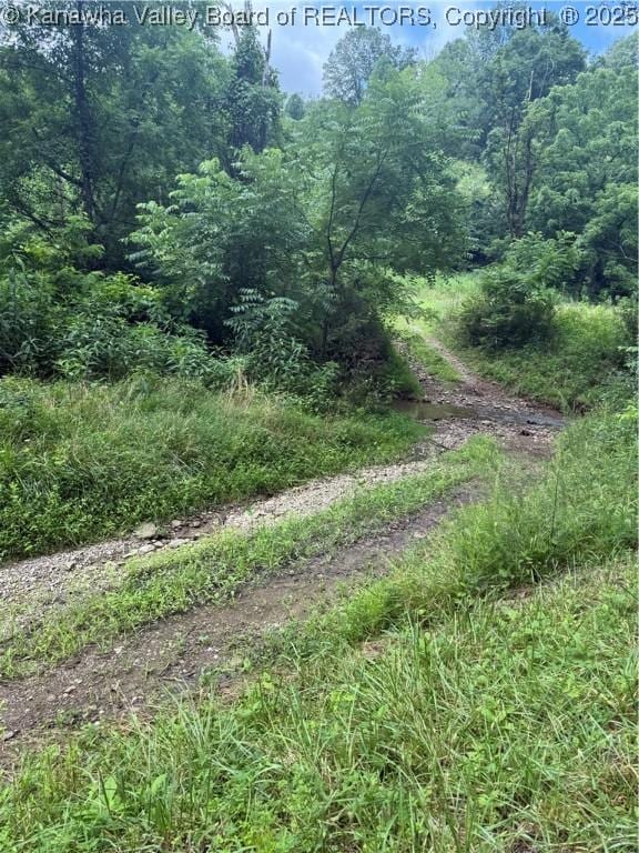 961 Road Run, Elizabeth, WV 26143 - photo 11