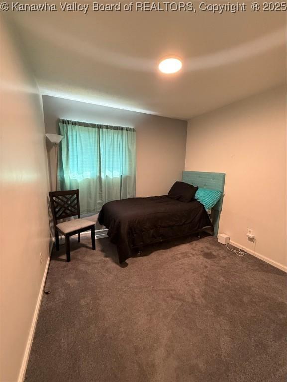 282 Eureka Rd, Charleston, WV 25314 - photo 33