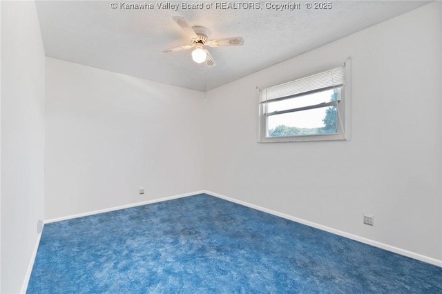 217 Nova St, Huntington, WV 25705 - photo 12
