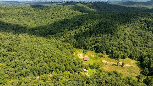 2930-2940 Little Lynn Creek Rd, Wayne, WV 25570 - photo 15