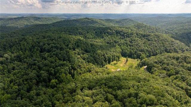 2930-2940 Little Lynn Creek Rd, Wayne, WV 25570 - photo 17
