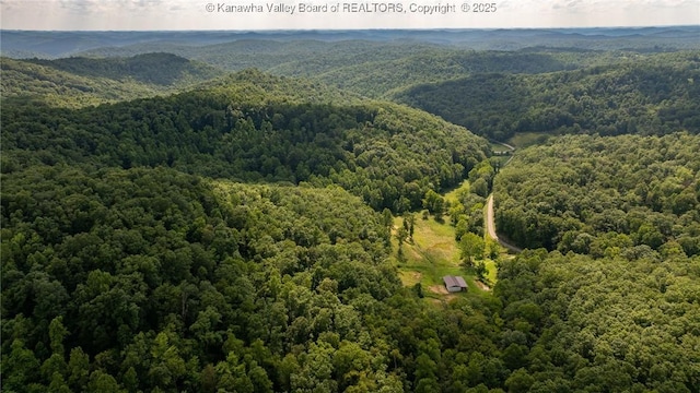 2930-2940 Little Lynn Creek Rd, Wayne, WV 25570 - photo 18