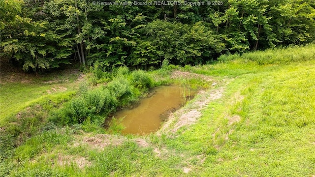 2930-2940 Little Lynn Creek Rd, Wayne, WV 25570 - photo 10