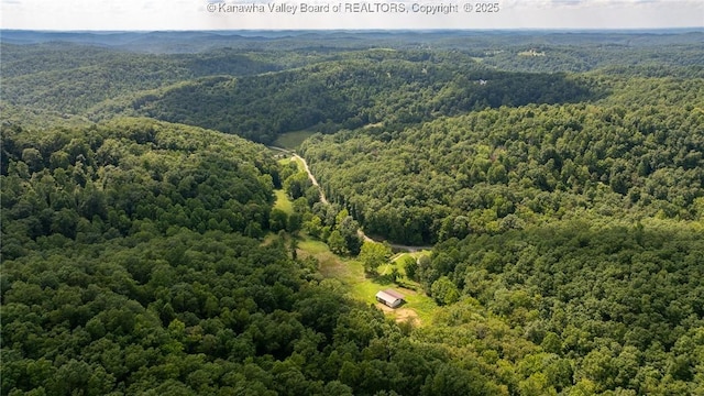 2930-2940 Little Lynn Creek Rd, Wayne, WV 25570 - photo 19