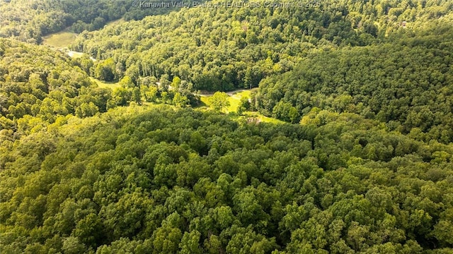 2930-2940 Little Lynn Creek Rd, Wayne, WV 25570 - photo 21