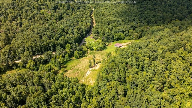 2930-2940 Little Lynn Creek Rd, Wayne, WV 25570 - photo 22
