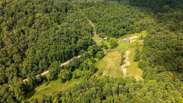 2930-2940 Little Lynn Creek Rd, Wayne, WV 25570 - photo 23