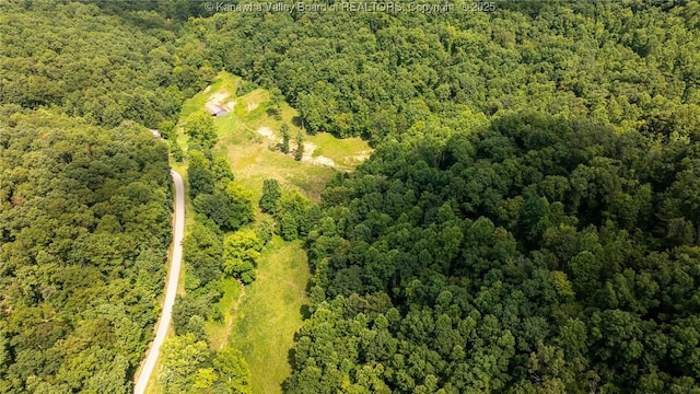 2930-2940 Little Lynn Creek Rd, Wayne, WV 25570 - photo 25