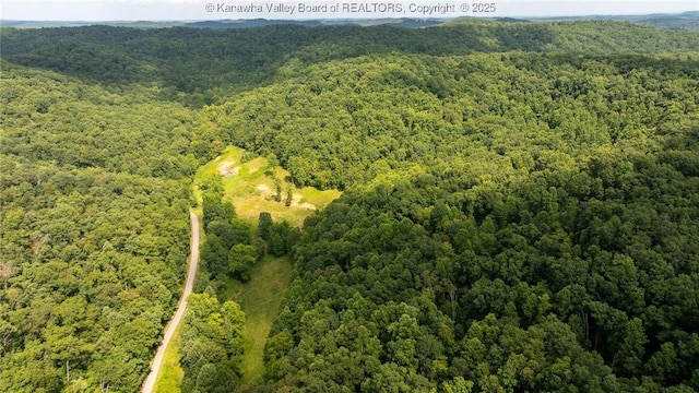 2930-2940 Little Lynn Creek Rd, Wayne, WV 25570 - photo 26