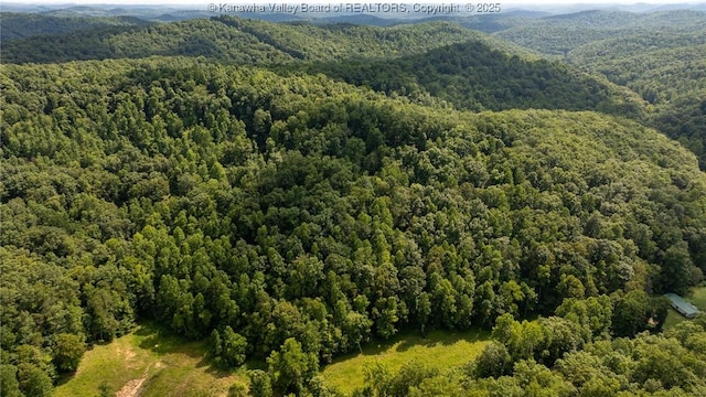 2930-2940 Little Lynn Creek Rd, Wayne, WV 25570 - photo 29