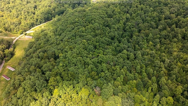 2930-2940 Little Lynn Creek Rd, Wayne, WV 25570 - photo 30