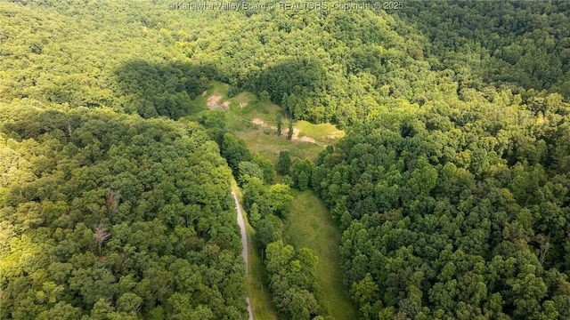 2930-2940 Little Lynn Creek Rd, Wayne, WV 25570 - photo 33
