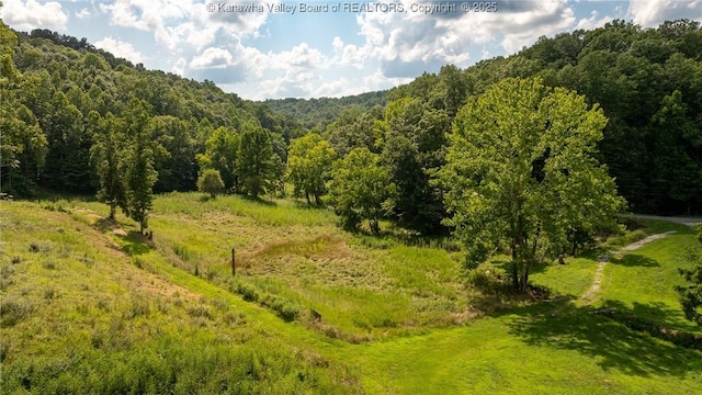 2930-2940 Little Lynn Creek Rd, Wayne, WV 25570 - photo 35