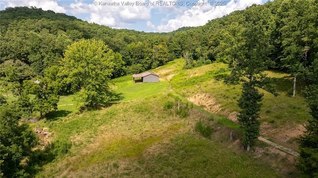 2930-2940 Little Lynn Creek Rd, Wayne, WV 25570 - photo 36