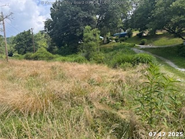 2890 Big Pigeon Rd, Procious, WV 25164 - photo 2