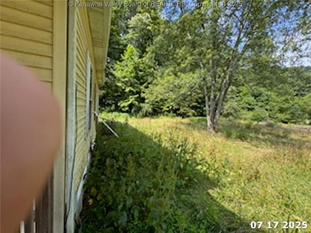 2890 Big Pigeon Rd, Procious, WV 25164 - photo 5