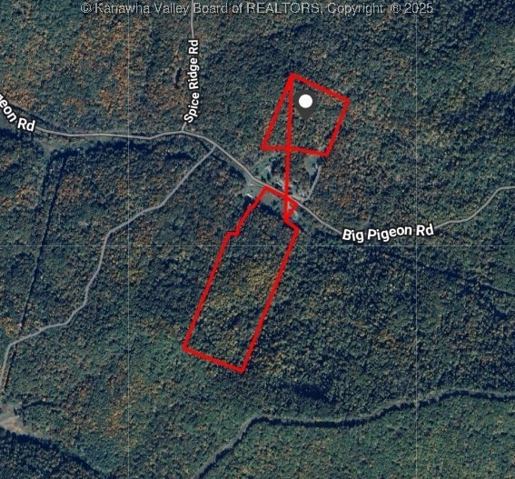 2890 Big Pigeon Rd, Procious, WV 25164 - photo 38