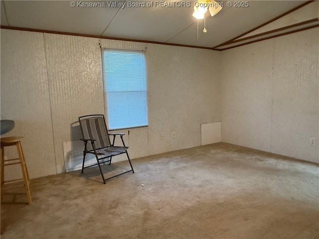 352 W Main St, Saint Albans, WV 25177 - photo 30