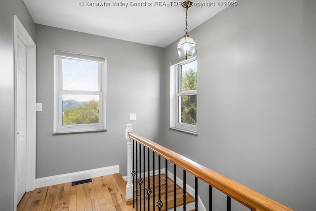 250 Sunset Dr, Charleston, WV 25301 - photo 18