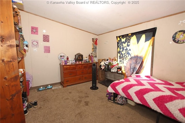 9826 Straight Fork Rd, West Hamlin, WV 25571 - photo 30
