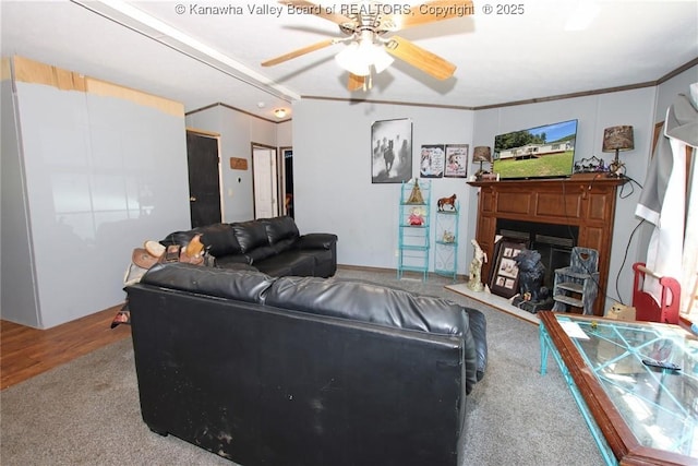 9826 Straight Fork Rd, West Hamlin, WV 25571 - photo 11