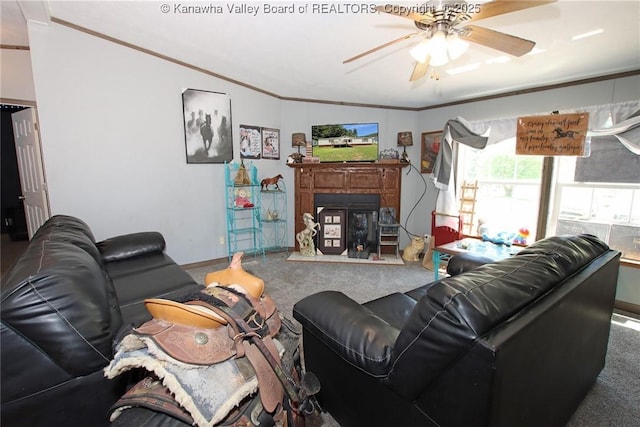 9826 Straight Fork Rd, West Hamlin, WV 25571 - photo 12