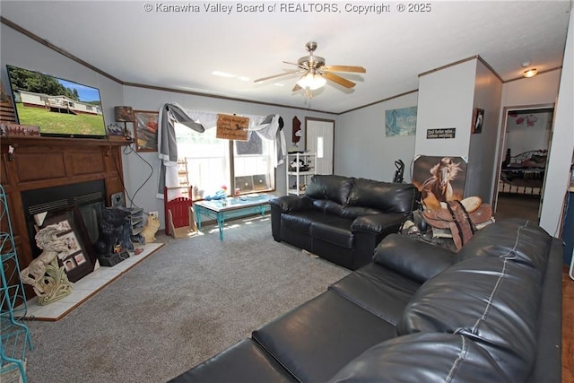 9826 Straight Fork Rd, West Hamlin, WV 25571 - photo 13
