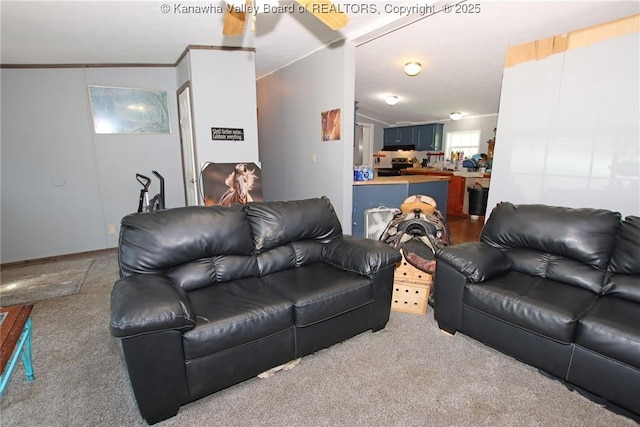 9826 Straight Fork Rd, West Hamlin, WV 25571 - photo 14
