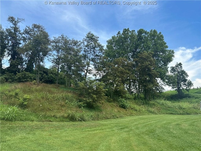 7974 Ravenswood Rd, Ravenswood, WV 26164 - photo 6
