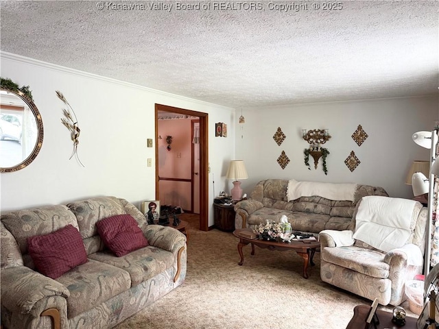 634 Ellis Branch Rd, Danville, WV 25053 - photo 32