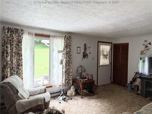 634 Ellis Branch Rd, Danville, WV 25053 - photo 34