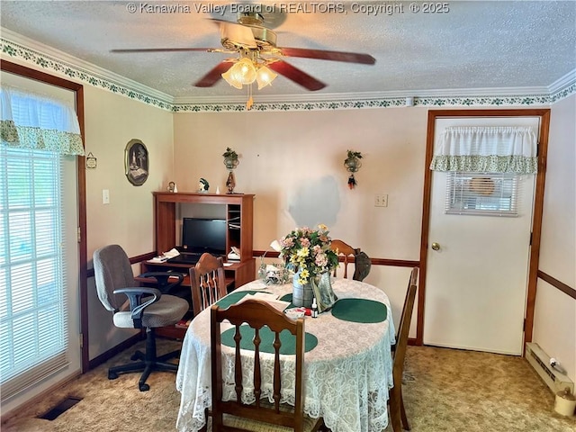 634 Ellis Branch Rd, Danville, WV 25053 - photo 36