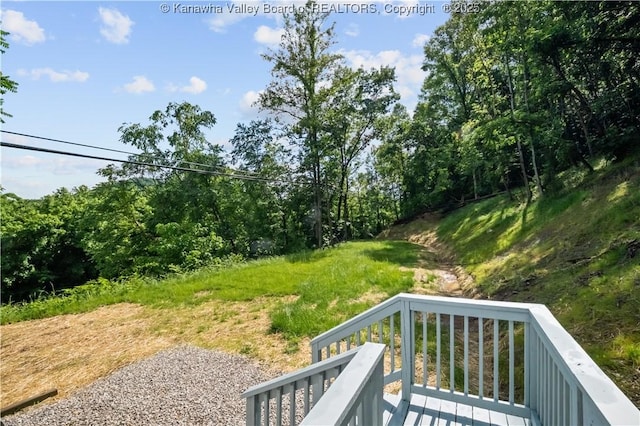 50 Tabor Dr, Chapmanville, WV 25508 - photo 24
