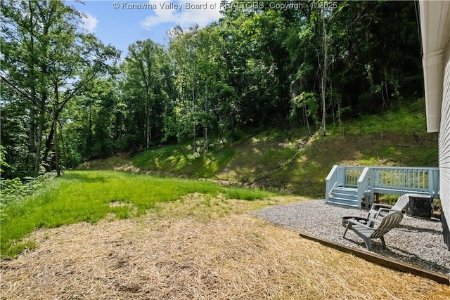 50 Tabor Dr, Chapmanville, WV 25508 - photo 26