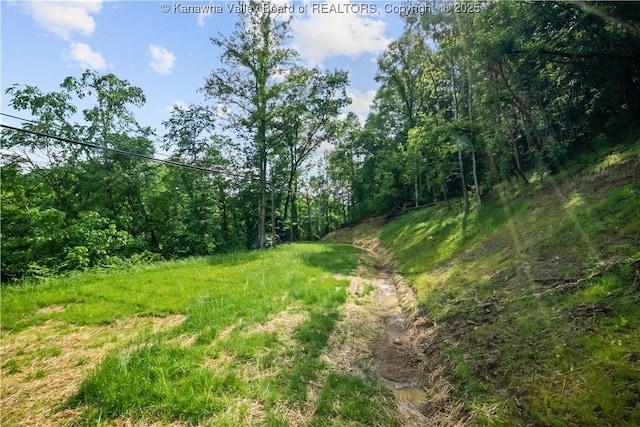 50 Tabor Dr, Chapmanville, WV 25508 - photo 28