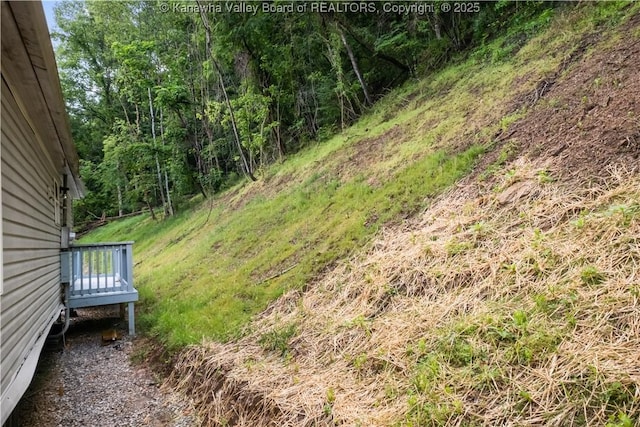50 Tabor Dr, Chapmanville, WV 25508 - photo 29