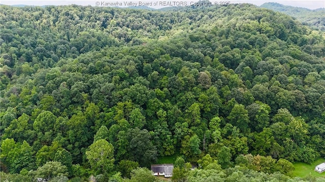 1749 Chapps Fork Rd, Charleston, WV 25312 - photo 41