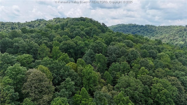 1749 Chapps Fork Rd, Charleston, WV 25312 - photo 42
