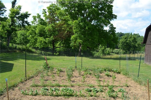 699 Weekly Run Rd, Ravenswood, WV 26164 - photo 29