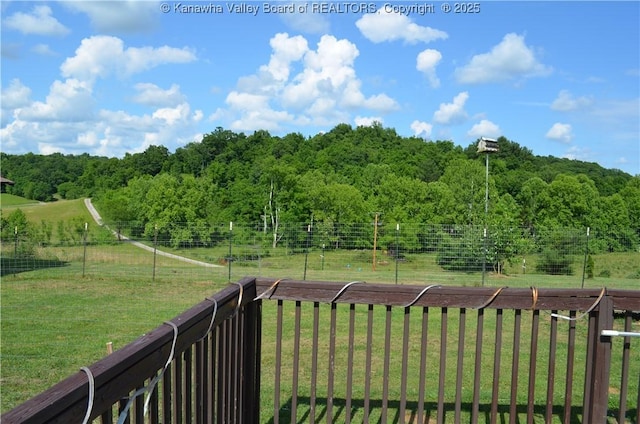 699 Weekly Run Rd, Ravenswood, WV 26164 - photo 33