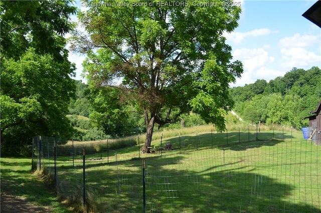 699 Weekly Run Rd, Ravenswood, WV 26164 - photo 36