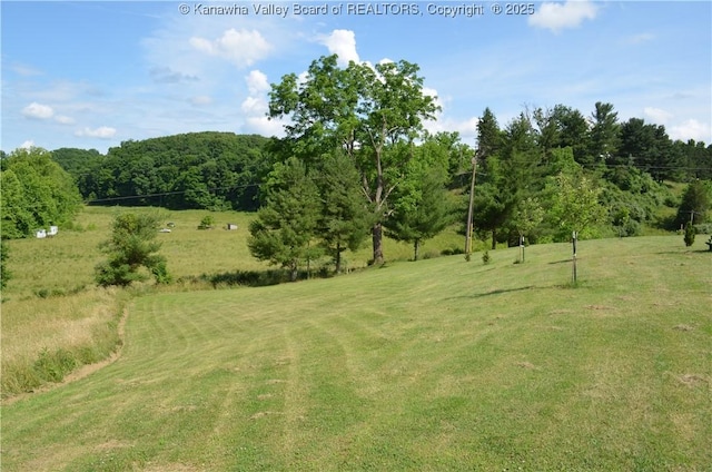 699 Weekly Run Rd, Ravenswood, WV 26164 - photo 39