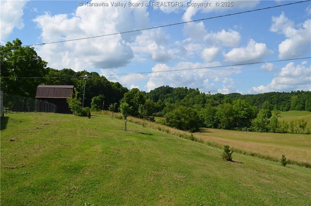 699 Weekly Run Rd, Ravenswood, WV 26164 - photo 3