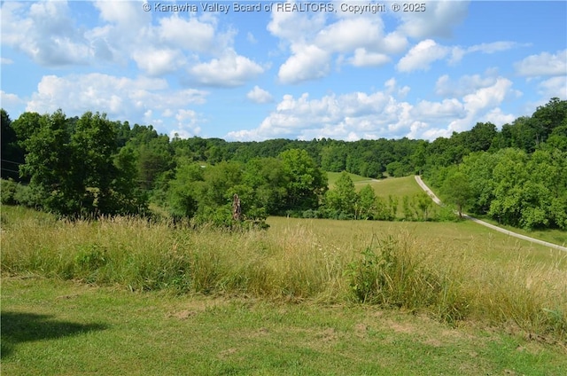 699 Weekly Run Rd, Ravenswood, WV 26164 - photo 4