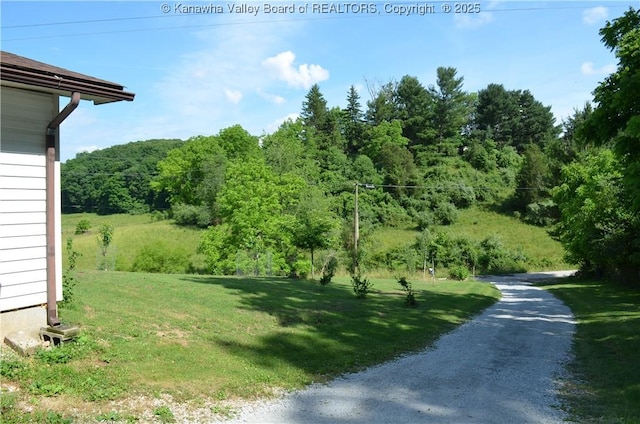 699 Weekly Run Rd, Ravenswood, WV 26164 - photo 50