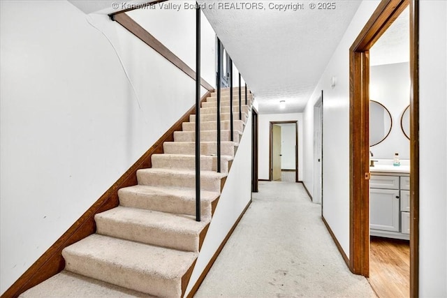 1109 Timberview Dr, Charleston, WV 25314 - photo 26
