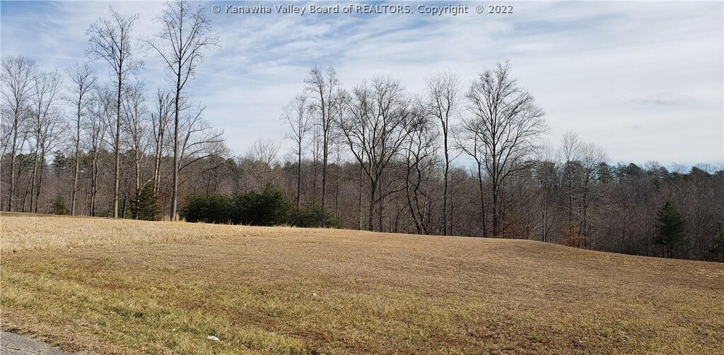 12 Bridle Pt, Milton, WV 25541 - photo 1
