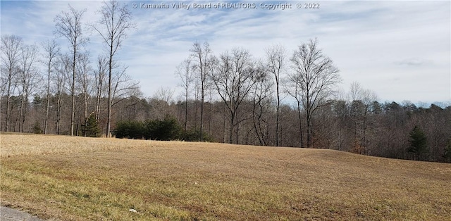 12 Bridle Pt, Milton WV, 25541 land for sale